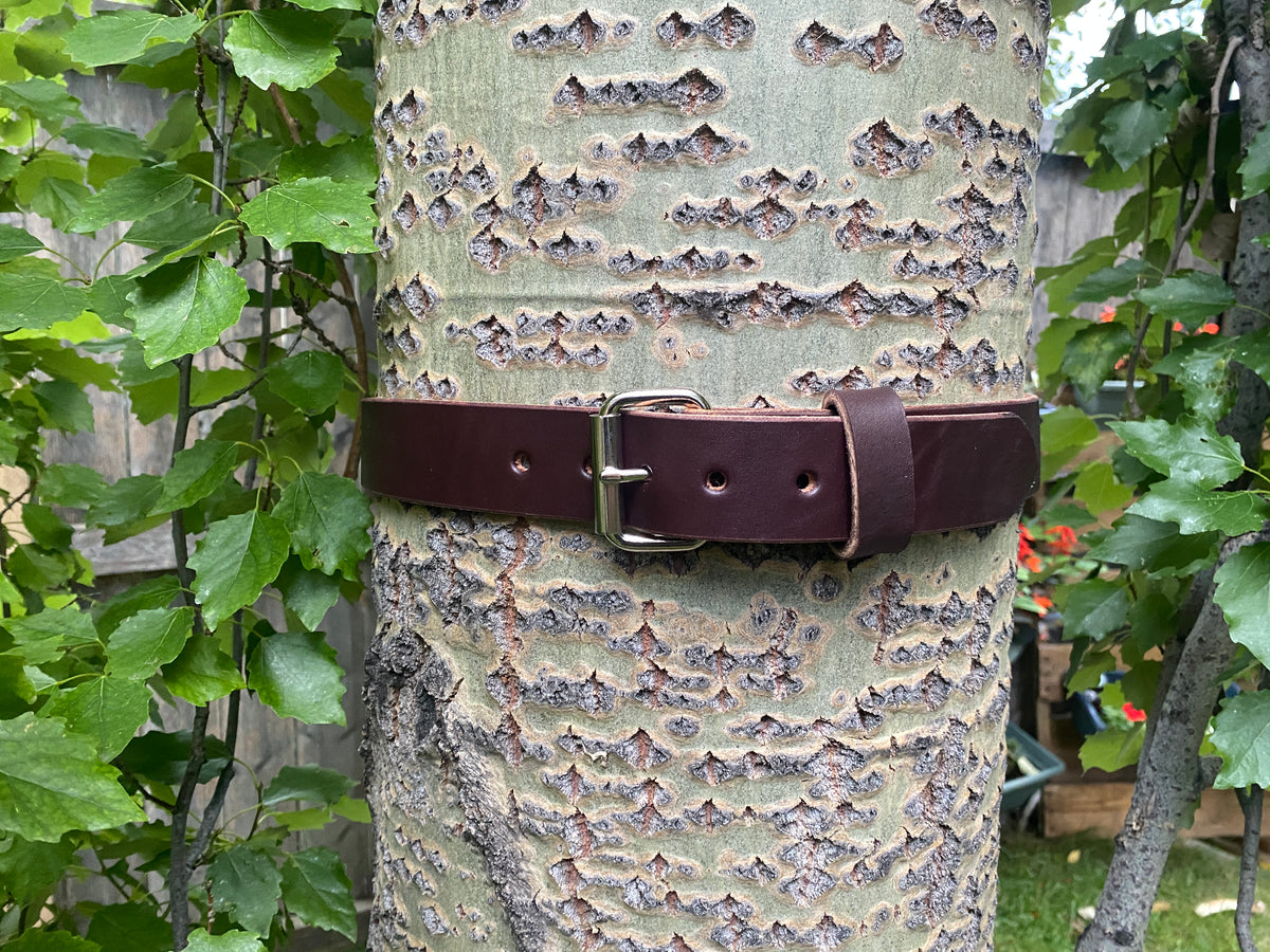 dark brown leather belt